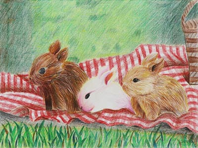 與三隻兔子的野餐