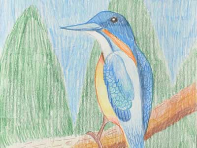 鳥－這是我的第一幅色鉛筆作品，覺得色鉛筆畫出來的顏色很美。